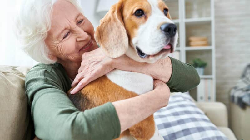 Faut-il souscrire une assurance santé pour son animal de compagnie ?