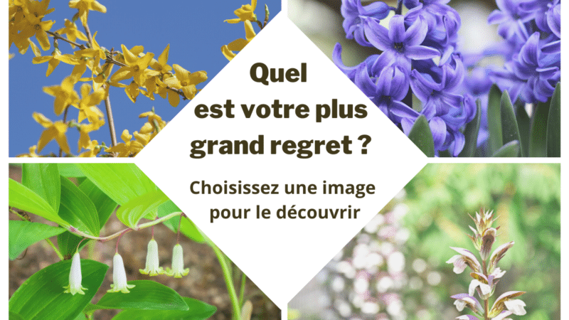 Test de personnalité (Exclusif) : quel est votre plus grand regret ?