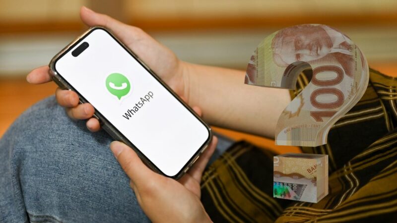 WhatsApp va devenir payant : est-ce vrai ?