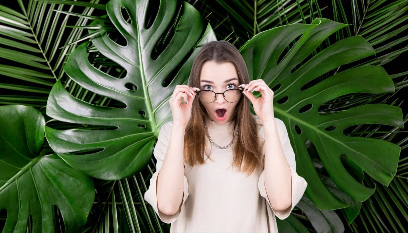 Comment multiplier un Monstera: la méthode infaillible qui fonctionne à 100%